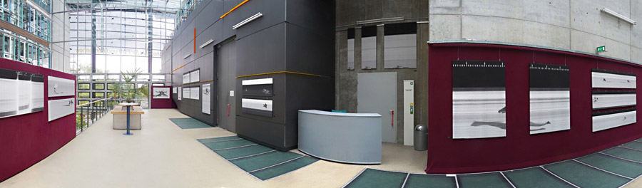 koschies exibition panorama