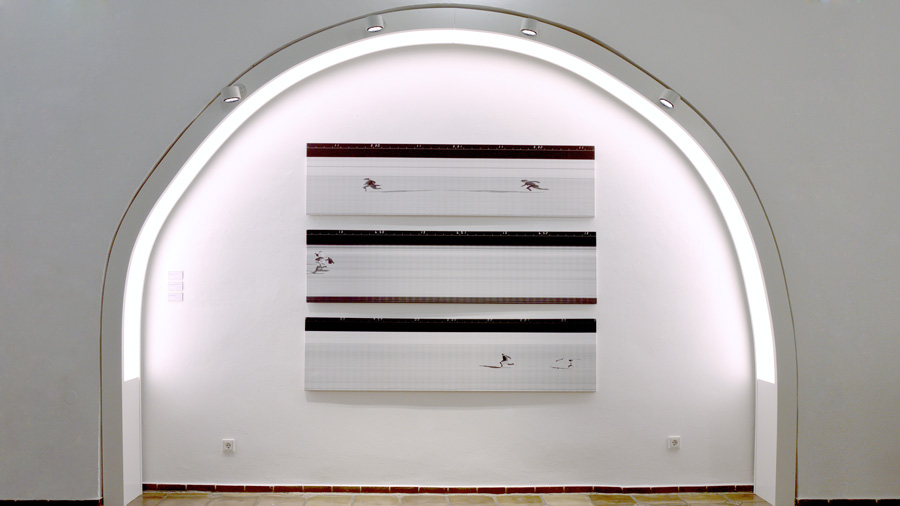 ausstellung @ kunstsammlungen