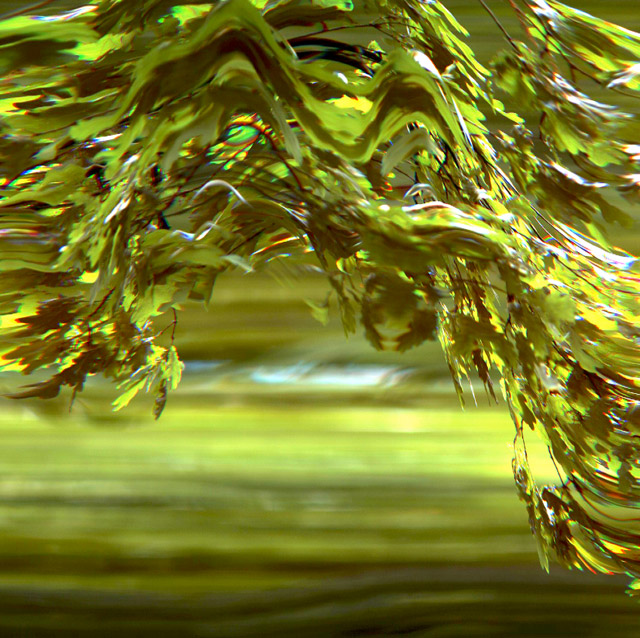 Augenlicht. Foto: Koschies